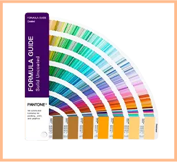 Color Customization