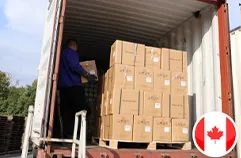 Loading silicone cartons into container for Canada