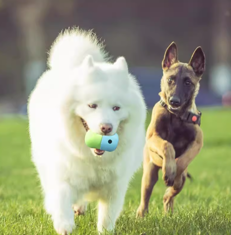 dog-silicone-toys-treat-ball-flexible