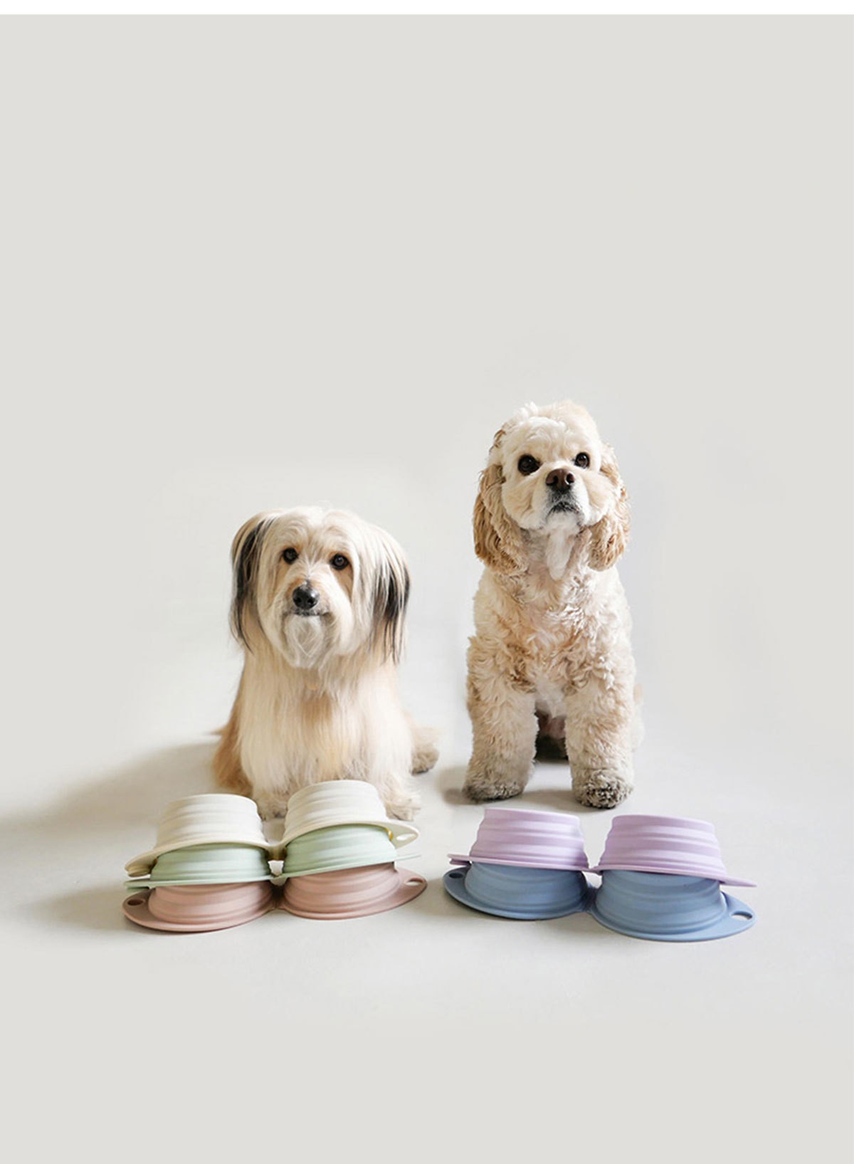 pet-silicone-feeding-bowls-mats-lids-flatlay.webp