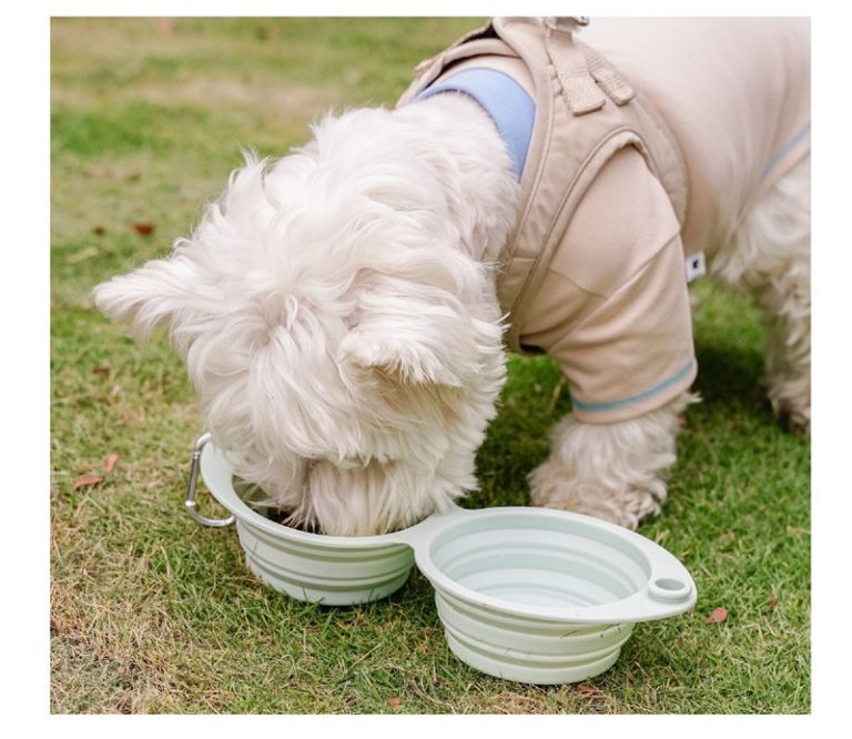 silicone-for-dogs-hero
