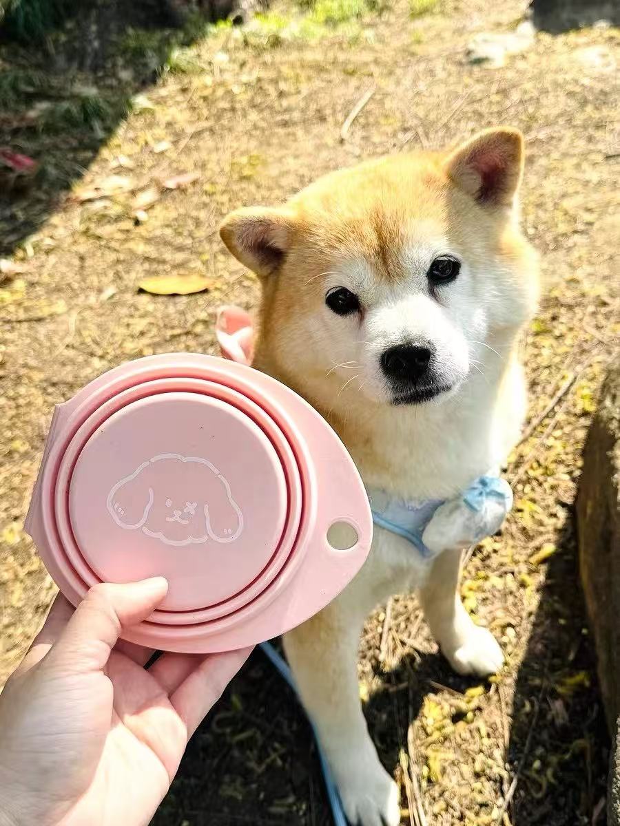 silicone-for-dogs-lick-mat-enrichment