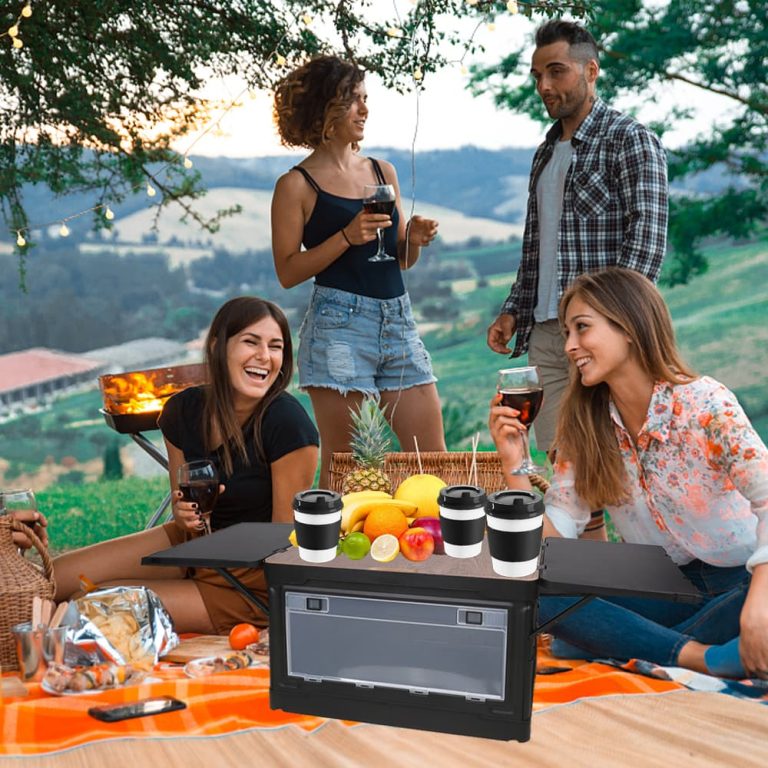 Picnic scene with foldable camping storage box used as a table
