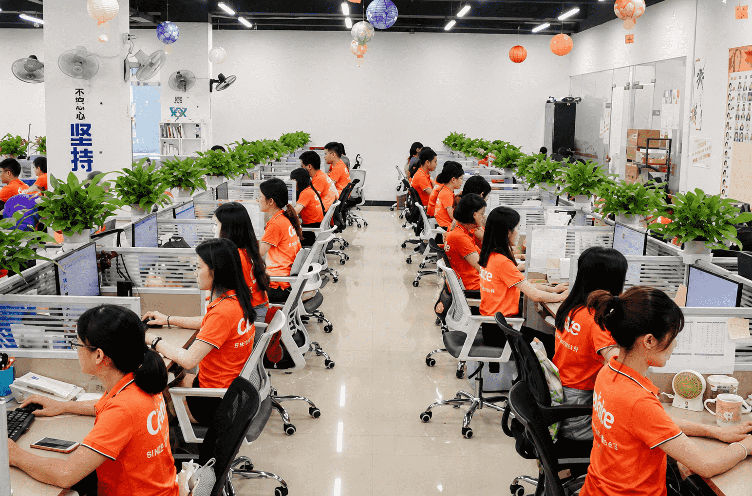 Coolnice customer service and sales team in office