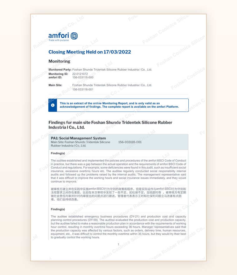 BSCI social audit document preview